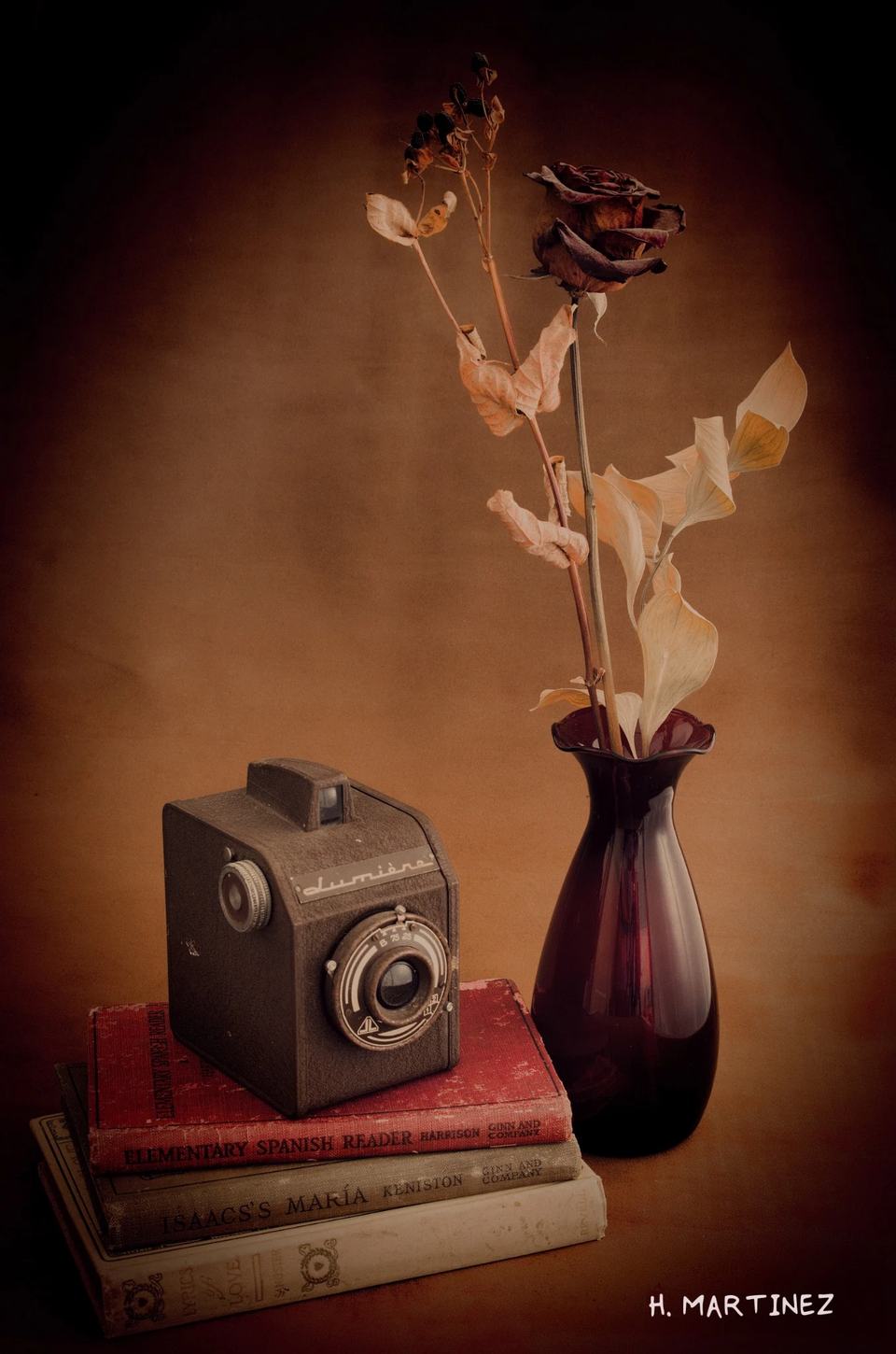 Deathly Still: Flowers, books, and an old camera arranged as a meditation on memory and impermanence.